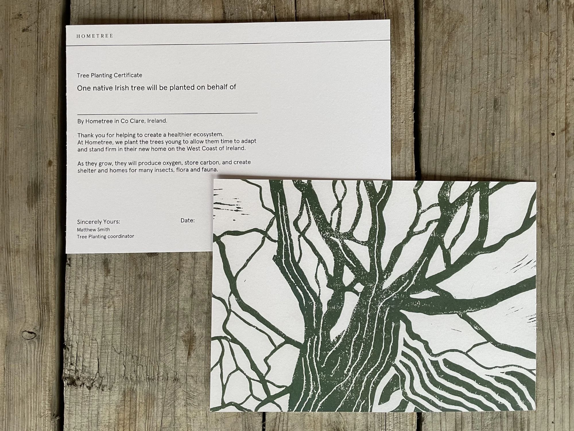 1 Native Tree Planted + Printed Tree Planting Certificate